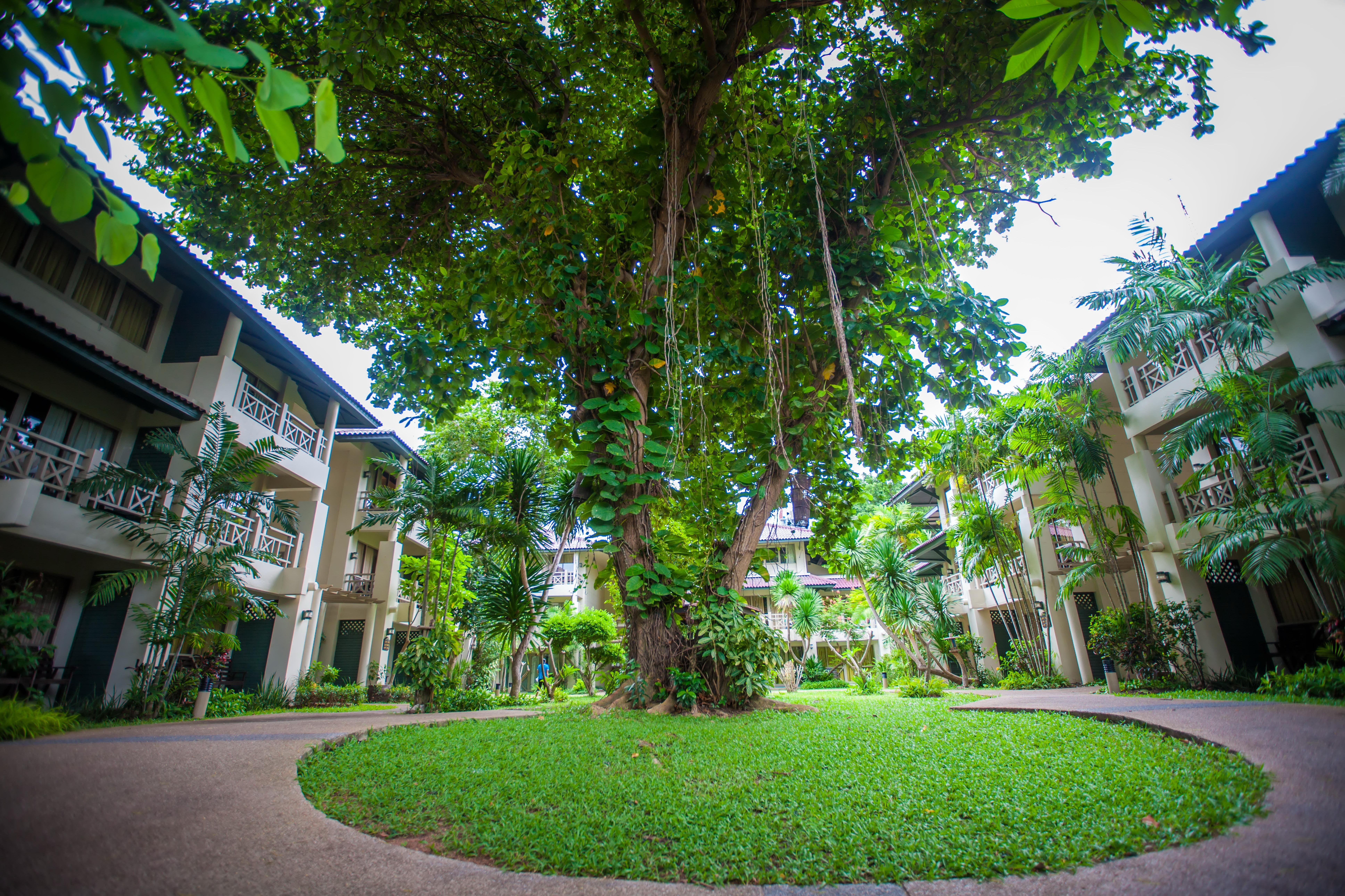Natural Park Resort Pattaya Eksteriør bilde